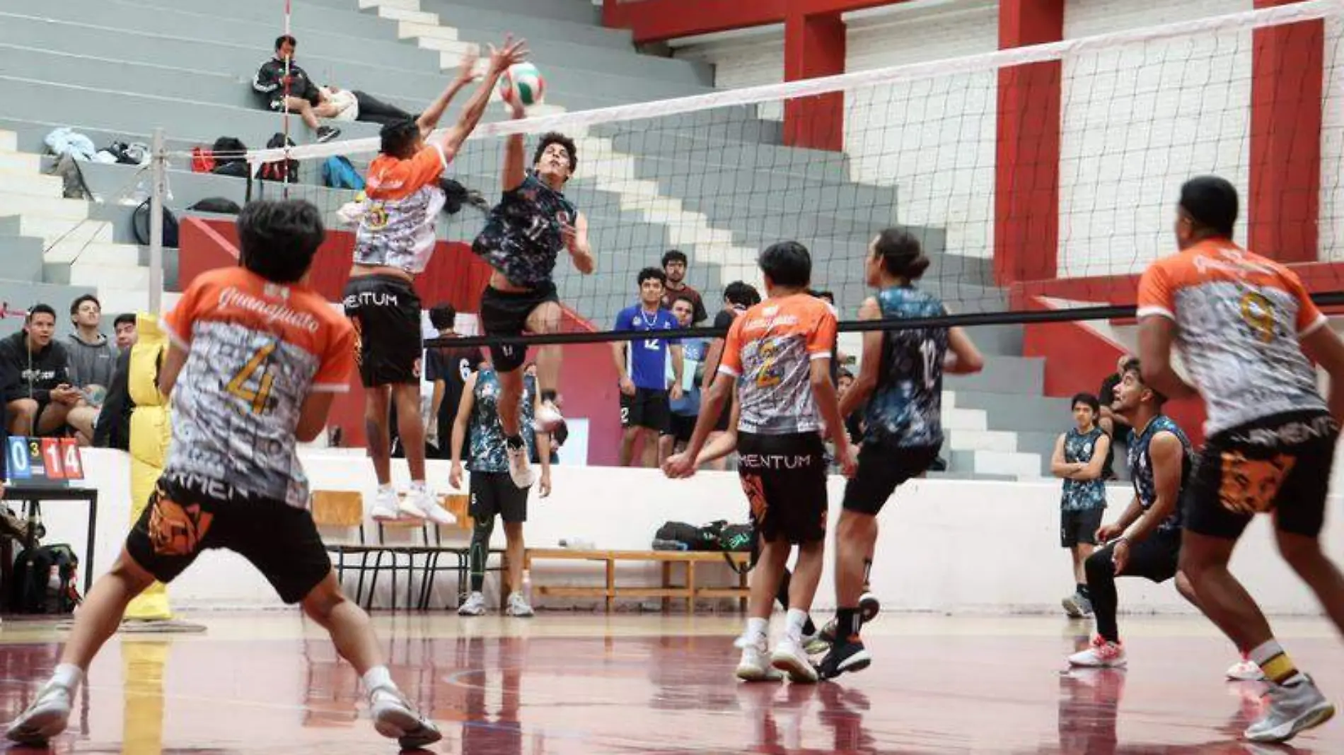 Avanza el campeonato nacional de clubes, segunda división, de voleibol de sala en seis sedes tlaxcaltecasEverardo NAVA